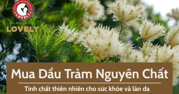 Mua Dầu Tràm Nguyên Chất Ở Đâu? Bí Quyết Chọn Hàng Chuẩn 100%