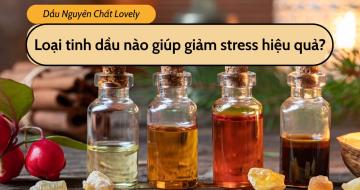  Tinh Dầu Giải Stress Là Gì? Công Dụng Cho Sức Khỏe Tinh Thần