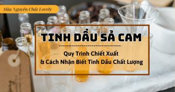 Tinh Dầu Sả Cam: Quy Trình Chiết Xuất Và Cách Nhận Biết Chất Lượng