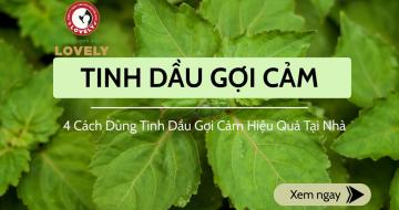 4 Cách Dùng Tinh Dầu Gợi Cảm Hiệu Quả Tại Nhà