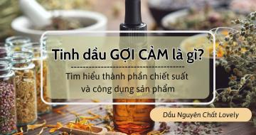 Tinh Dầu Gợi Cảm Là Gì? Thành Phần & Công Dụng 