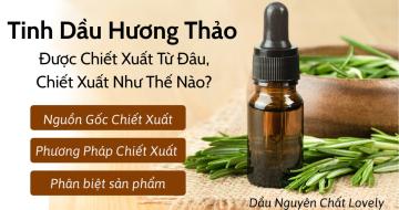 Tinh Dầu Hương Thảo: Chiết Xuất Từ Đâu, Bằng Cách Nào?