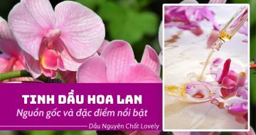 Nguồn Gốc và Đặc Điểm Của Tinh Dầu Hoa Lan