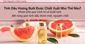 Tinh Dầu Hương Bưởi Được Chiết Xuất Như Thế Nào?
