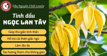  Khám Phá 7 Công Dụng Của Tinh Dầu Ngọc Lan Tây!