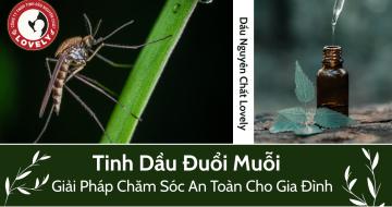 Tinh Dầu Đuổi Muỗi: Xu Hướng Mới Trong Cuộc Sống Hiện Đại