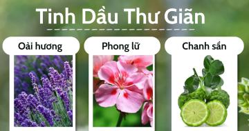 Tinh Dầu Thư Giãn Là Gì? Thành Phần & Cách Sử Dụng
