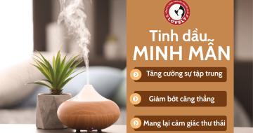 Điều Gì Khiến Tinh Dầu Minh Mẫn Được Yêu Thích?
