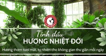 Tinh Dầu Hương Nhiệt Đới Là Gì? 