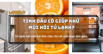 Cách khử mùi hôi tủ lạnh hiệu quả bằng tinh dầu cam ngọt thiên nhiên