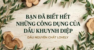 C&ocirc;ng Dụng Của Dầu Khuynh Diệp
