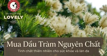 Tinh Dầu Tr&agrave;m Nguy&ecirc;n Chất - B&iacute; Quyết Kh&aacute;ng Khuẩn Giữ Ấm Cho B&eacute;