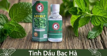 Tinh Dầu Bạc H&agrave; Được Chiết Xuất Như Thế N&agrave;o Để Giữ Trọn Lượng Menthol?