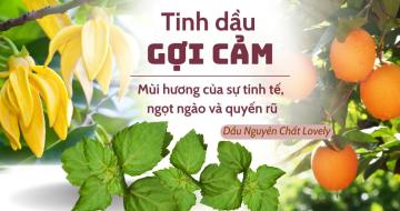 Tinh Dầu Gợi Cảm – Sự Kết Hợp Giữa Cảm Xúc Và Hương Thiên Nhiên