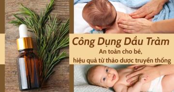 Tại Sao Dầu Tràm Lại Là ‘Bảo Bối’ Cho Mọi Gia Đình?