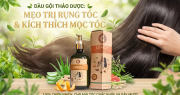 Dầu Gội Thảo Dược: Mẹo Trị Rụng T&oacute;c & K&iacute;ch Th&iacute;ch Mọc