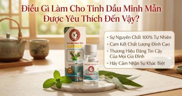Điều G&igrave; Khiến Tinh Dầu Minh Mẫn Được Y&ecirc;u Th&iacute;ch?
