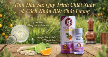 Tinh Dầu Sả Cam: Quy Tr&igrave;nh Chiết Xuất V&agrave; C&aacute;ch Nhận Biết Chất Lượng