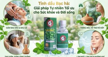 Tinh Dầu Bạc H&agrave;: C&ocirc;ng Dụng Trị Đau Đầu, Th&ocirc;ng Mũi V&agrave; Đuổi C&ocirc;n Tr&ugrave;ng