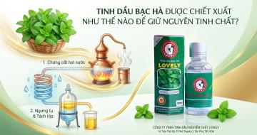 Tinh Dầu Bạc H&agrave; Được Chiết Xuất Như Thế N&agrave;o Để Giữ Trọn Lượng Menthol?