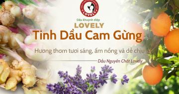 Tinh Dầu Cam Gừng: Mẹo Khử M&ugrave;i Ph&ograve;ng & Giảm Stress Hiệu Quả