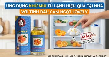 C&aacute;ch Khử M&ugrave;i H&ocirc;i Tủ Lạnh Bằng Tinh Dầu Cam Ngọt Hiệu Quả V&agrave; An To&agrave;n