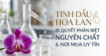 Tinh Dầu Hoa Lan: C&aacute;ch Ph&acirc;n Biệt Thật Giả V&agrave; Địa Chỉ Mua Uy T&iacute;n
