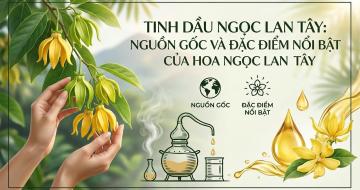 Tinh Dầu Ngọc Lan T&acirc;y Lovely Gi&uacute;p Ngủ Ngon S&acirc;u Giấc V&agrave; Giảm Căng Thẳng