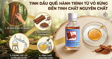 C&aacute;ch L&agrave;m Ra Tinh Dầu Quế Nguy&ecirc;n Chất Chưng Cất Từ Vỏ Quế Đại Ng&agrave;n Ngay
