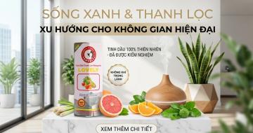 Tinh Dầu Thanh Lọc Kh&ocirc;ng Kh&iacute;: Xu Hướng Sống Xanh Cho Kh&ocirc;ng Gian Hiện Đại&nbsp;