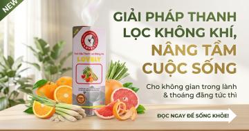 Tinh Dầu Thanh Lọc Kh&ocirc;ng Kh&iacute;: Giải Ph&aacute;p Cho M&ocirc;i Trường Sạch Tho&aacute;ng