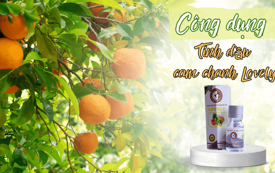 TINH DẦU CAM CHANH (10ML) NEW