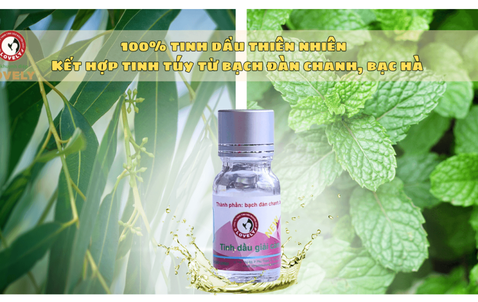 TINH DẦU GIẢI CẢM (10ML) NEW