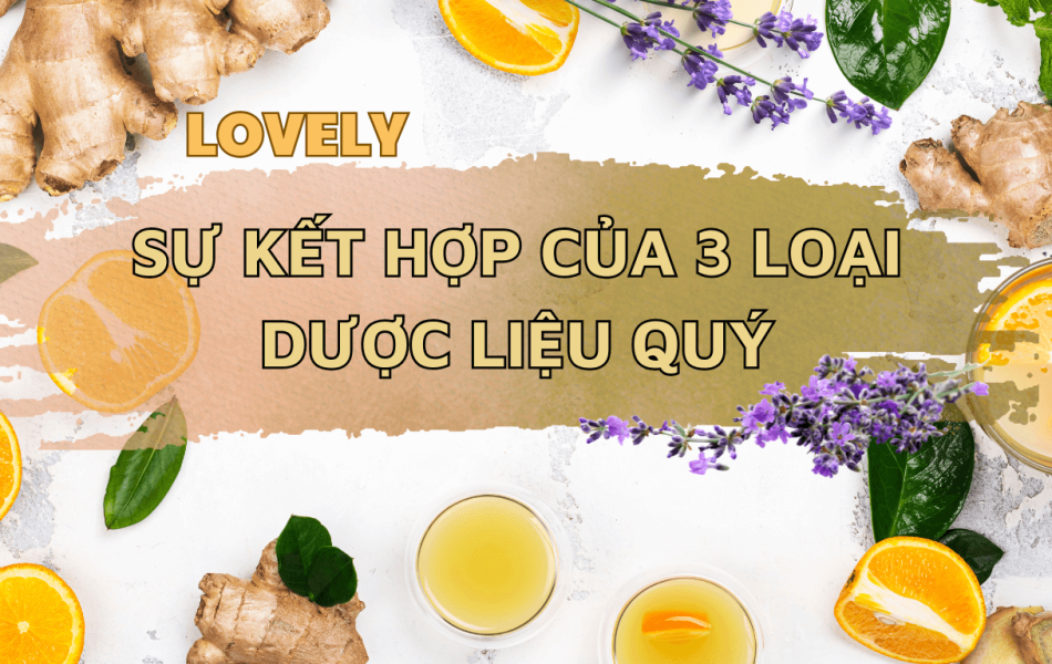 TINH DẦU CAM GỪNG (10ML) NEW