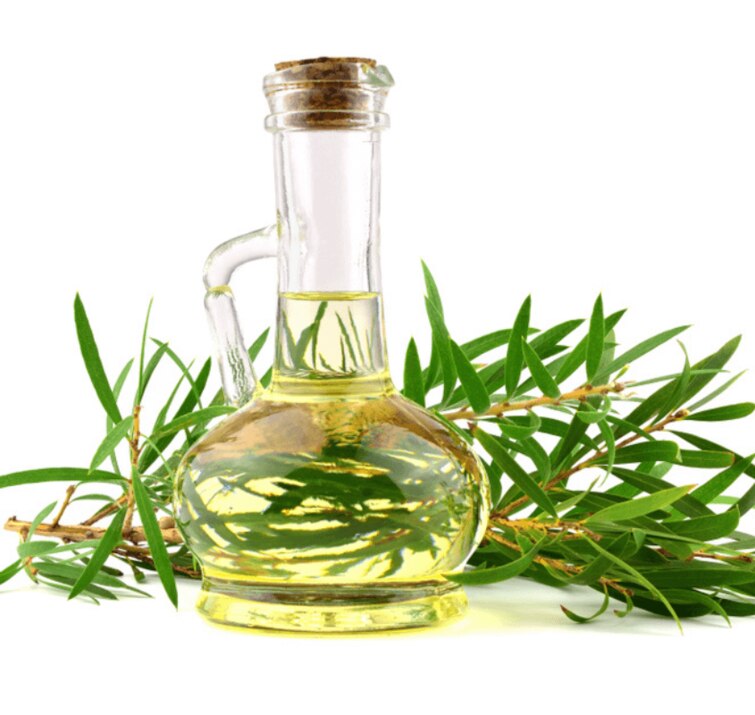 Tinh dầu tràm Lovely nguyên chất chăm sóc sức khỏe cho mẹ và bé