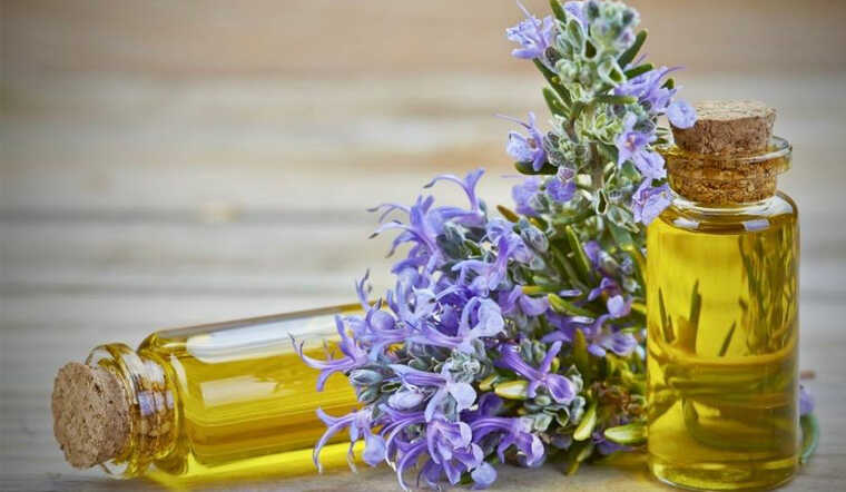 Tinh dầu hương thảo Lovely nguyên chất tăng cường trí nhớ